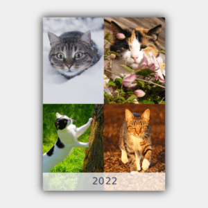 Cats, Four Seasons, Winter, Spring, Summer, Autumn A3 Vertical 2022 Wall Calendar