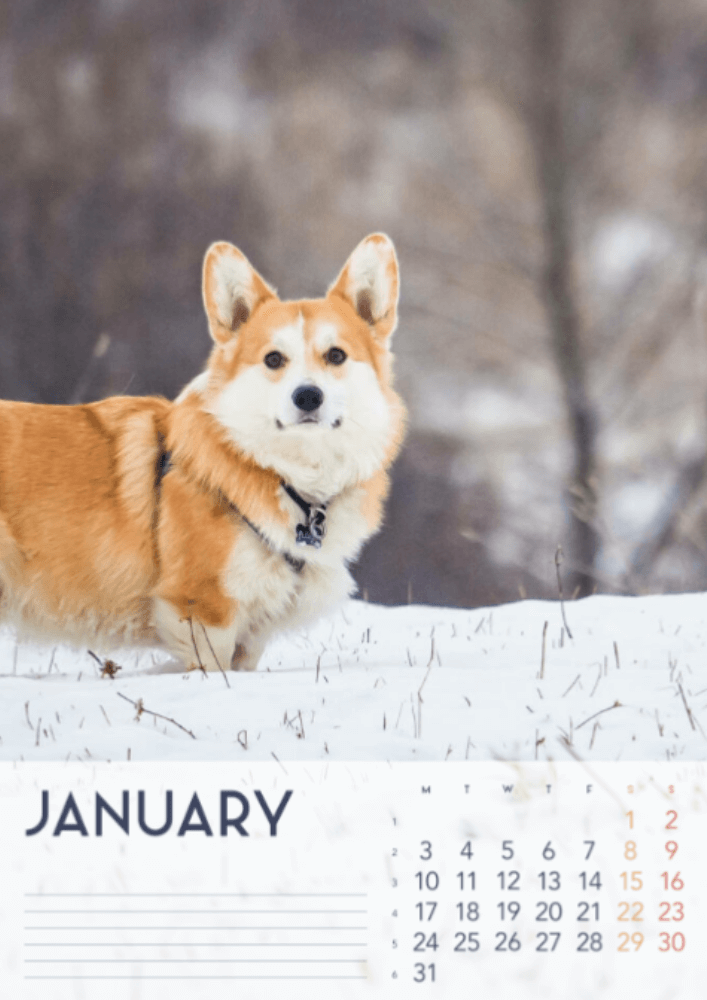Dogs, Four Seasons, Winter, Spring, Summer, Autumn A3 Vertical 2022 Wall Calendar #2