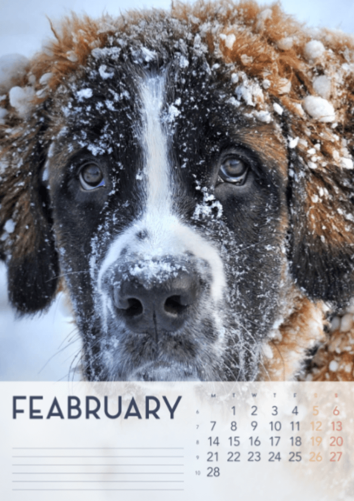 Dogs, Four Seasons, Winter, Spring, Summer, Autumn A3 Vertical 2022 Wall Calendar #3
