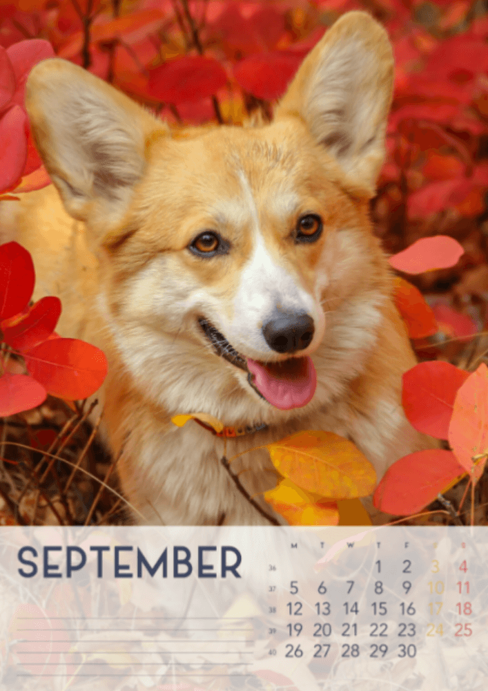 Dogs, Four Seasons, Winter, Spring, Summer, Autumn A3 Vertical 2022 Wall Calendar #10
