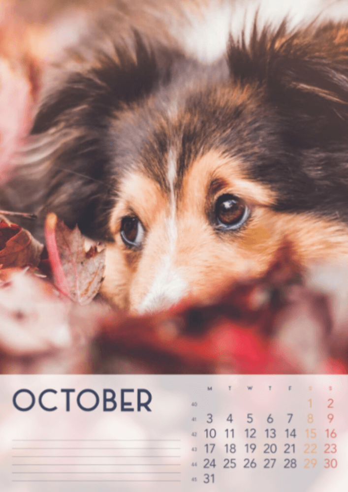 Dogs, Four Seasons, Winter, Spring, Summer, Autumn A3 Vertical 2022 Wall Calendar #11
