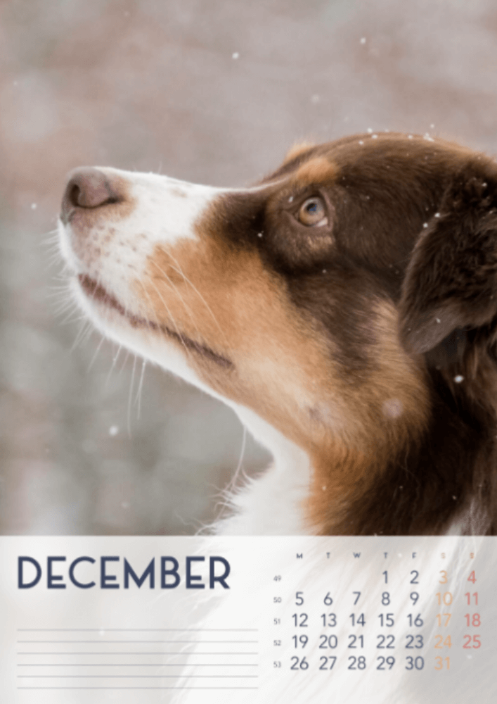 Dogs, Four Seasons, Winter, Spring, Summer, Autumn A3 Vertical 2022 Wall Calendar #13