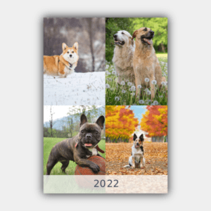 Dogs, Four Seasons, Winter, Spring, Summer, Autumn A3 Vertical 2022 Wall Calendar