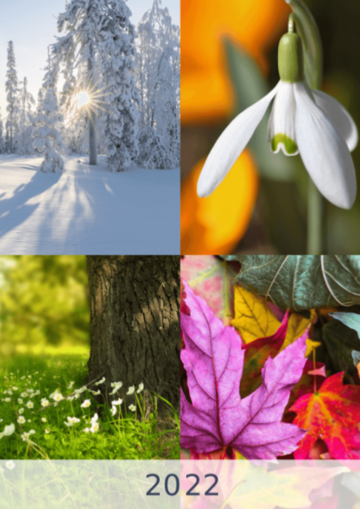 Fyra årstider, vinter, vår, sommar, höst A3 vertikal 2022 väggkalender #1