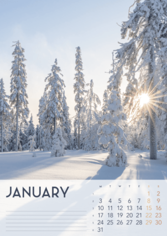 Four Seasons, Winter, Spring, Summer, Autumn A3 Vertical  2022 Wall Calendar #2