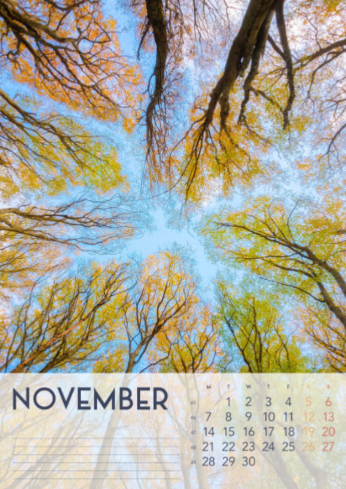 Four Seasons, Winter, Spring, Summer, Autumn A3 Vertical  2022 Wall Calendar #12