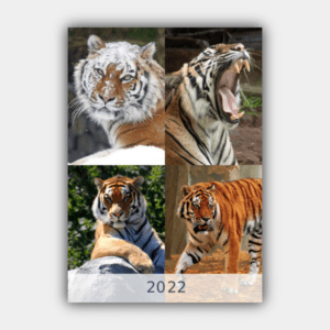 Tigers, Four Seasons, Winter, Spring, Summer, Autumn A3 Vertical Wall Calendar