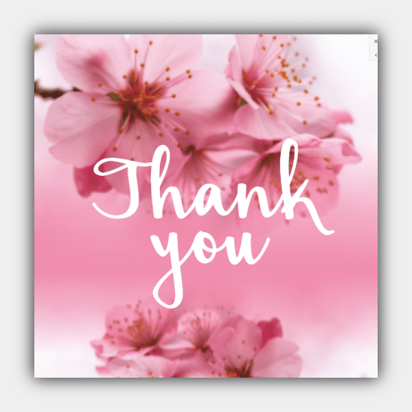 Thank You, Apple Flowers, Rose, Color Changeable, Rectangle Sticker