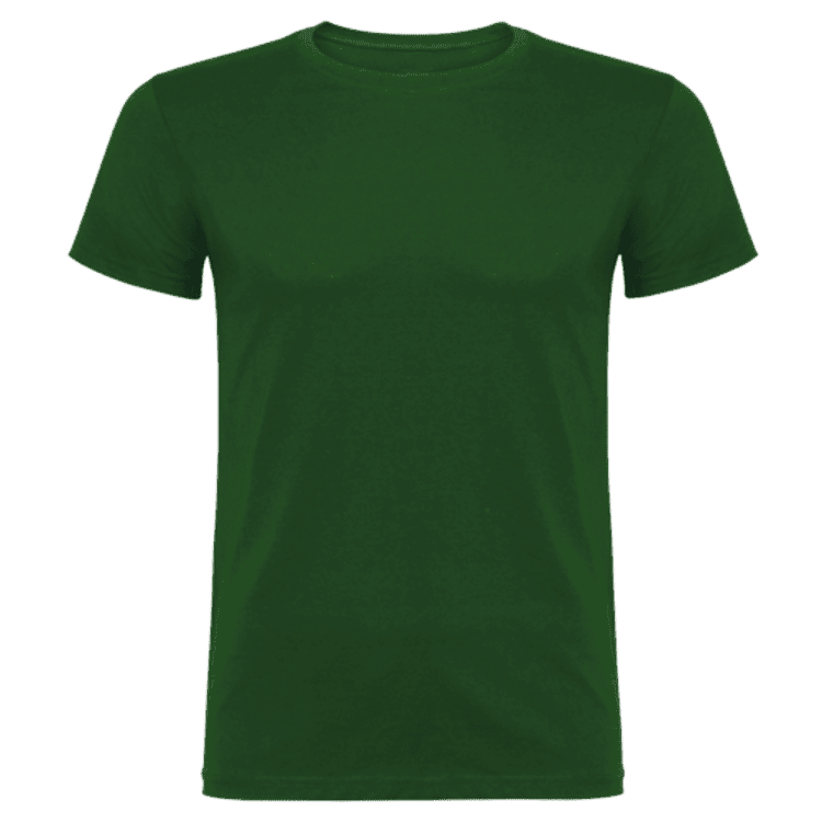 Chameleon, Rounder Arrows, Grey, Green, Men's T-shirt #21