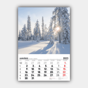 Cztery pory roku, Zima, Wiosna, Lato, Jesień w pionie 2023 Kalendarz ścienny