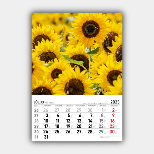 Four Seasons, Winter, Spring, Summer, Autumn Vertical  2023 Wall Calendar #7