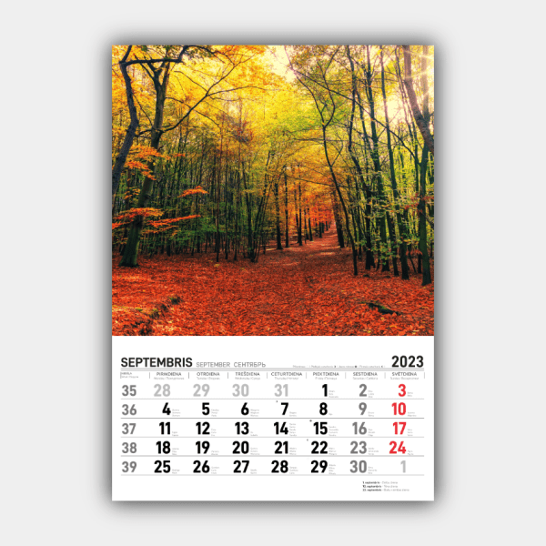 Four Seasons, Winter, Spring, Summer, Autumn Vertical  2023 Wall Calendar #9