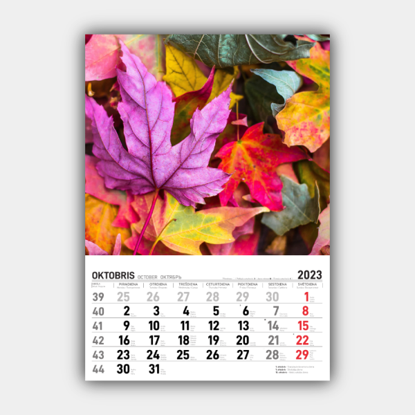 Four Seasons, Winter, Spring, Summer, Autumn Vertical  2023 Wall Calendar #10