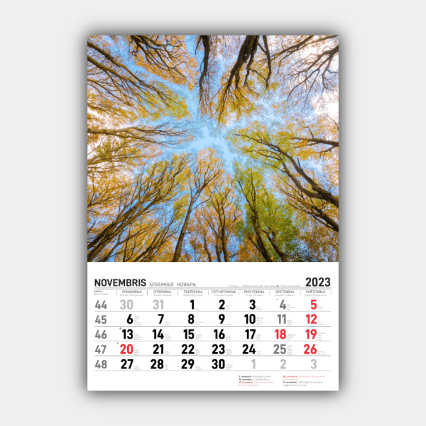 Four Seasons, Winter, Spring, Summer, Autumn Vertical  2023 Wall Calendar #11