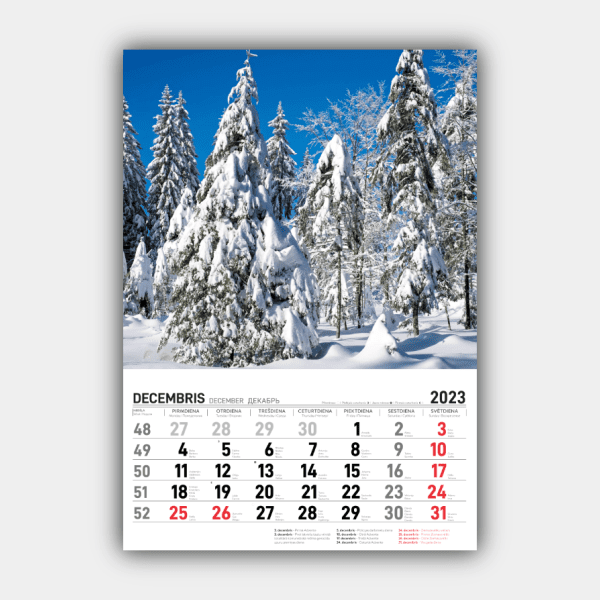 Four Seasons, Winter, Spring, Summer, Autumn Vertical  2023 Wall Calendar #12