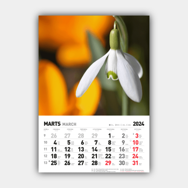 Fire årstider, vinter, forår, sommer, efterår Lodret 2024 Lettisk vægkalender #3