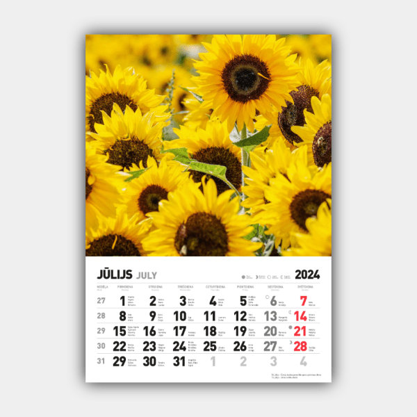 Neljä vuodenaikaa, talvi, kevät, kesä, syksy Pystysuora 2024 Latvian seinäkalenteri #7