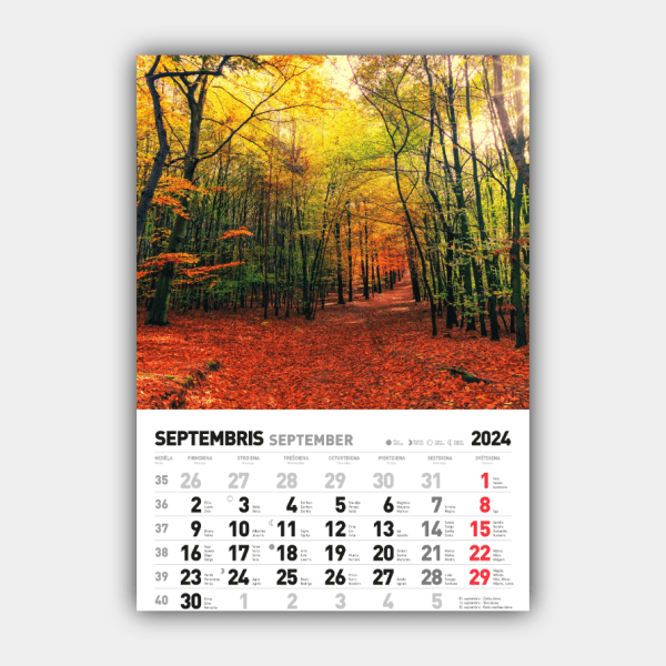 Četri gadalaiki, Ziema, Pavasaris, Vasara, Rudens Vertikālais 2024 Latvijas sienas kalendārs #9