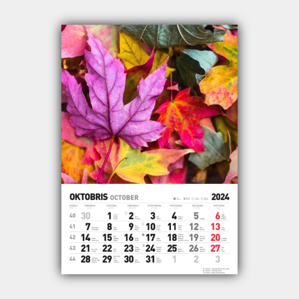 Cztery pory roku, zima, wiosna, lato, jesień Pionowy kalendarz ścienny 2024 Łotwa #10