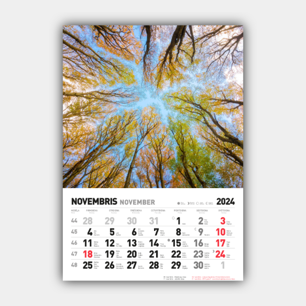 Neljä vuodenaikaa, talvi, kevät, kesä, syksy Pystysuora 2024 Latvian seinäkalenteri #11